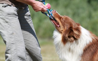 Tug, c'est quoi le tug?