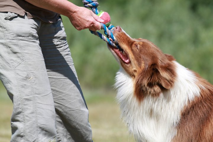 Tug, c'est quoi le tug?