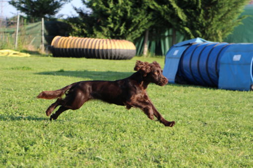 Stage Agility Fondations 2 jours (11 et 12 novembre 2023)