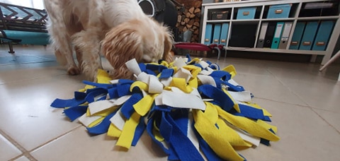 tapis de fouille pour chien