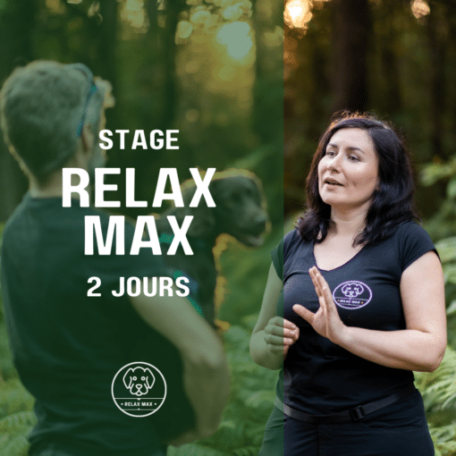 Stage Relax Max - 2 jours (réservés aux membres du programme en ligne)