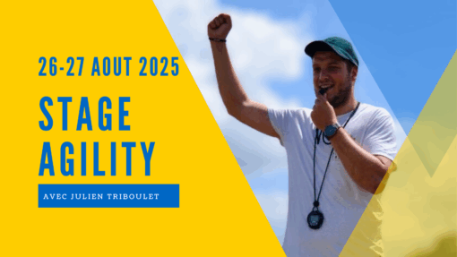 Stage Agility Conduite 2 jours avec Julien Triboulet - 26-27 Août - Châtillon Sur Indre